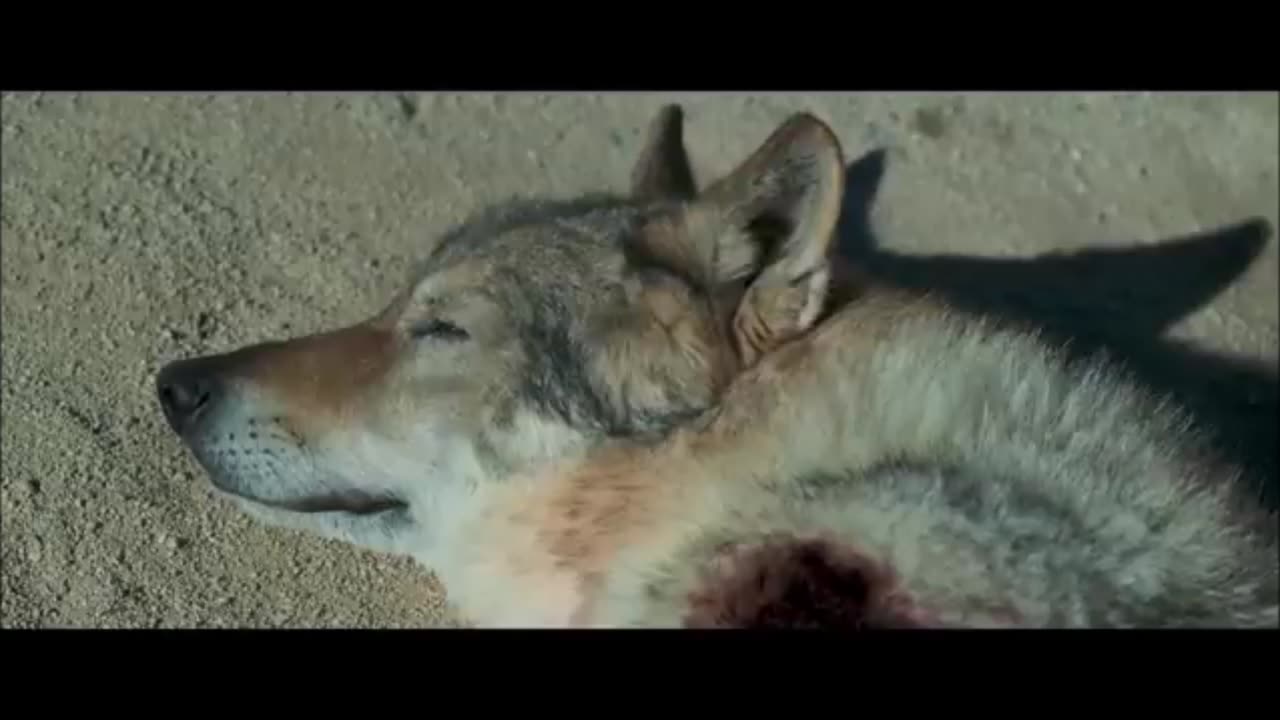 ALPHA