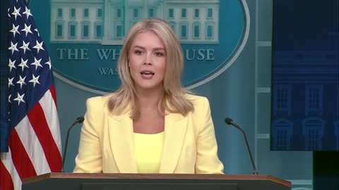 Karoline Leavitt hits media for 'spewing' misinformation about Qatar plane gift