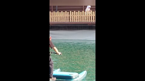 pedal cycle in water lake