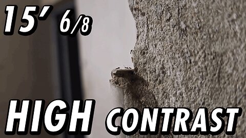 ASMR | A white background view from the "cliff", watching the ants come and go - 15' 6/8
