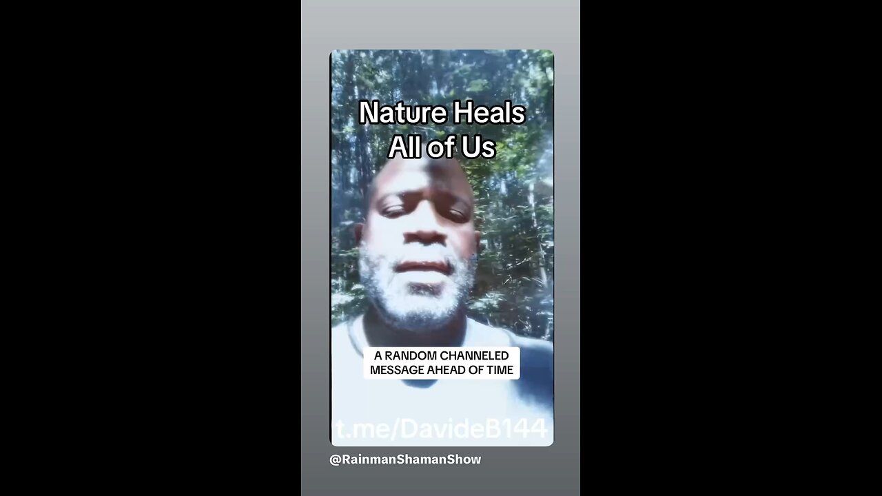 The Reason The Forest Is So Healing