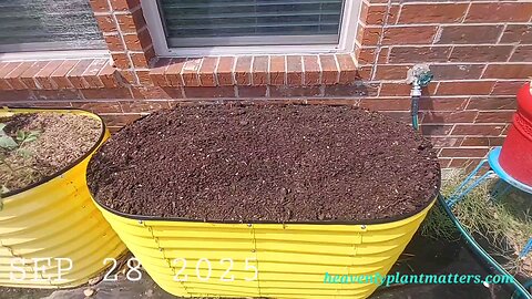 52 Sundays! Fall Cleanup AND Growing!