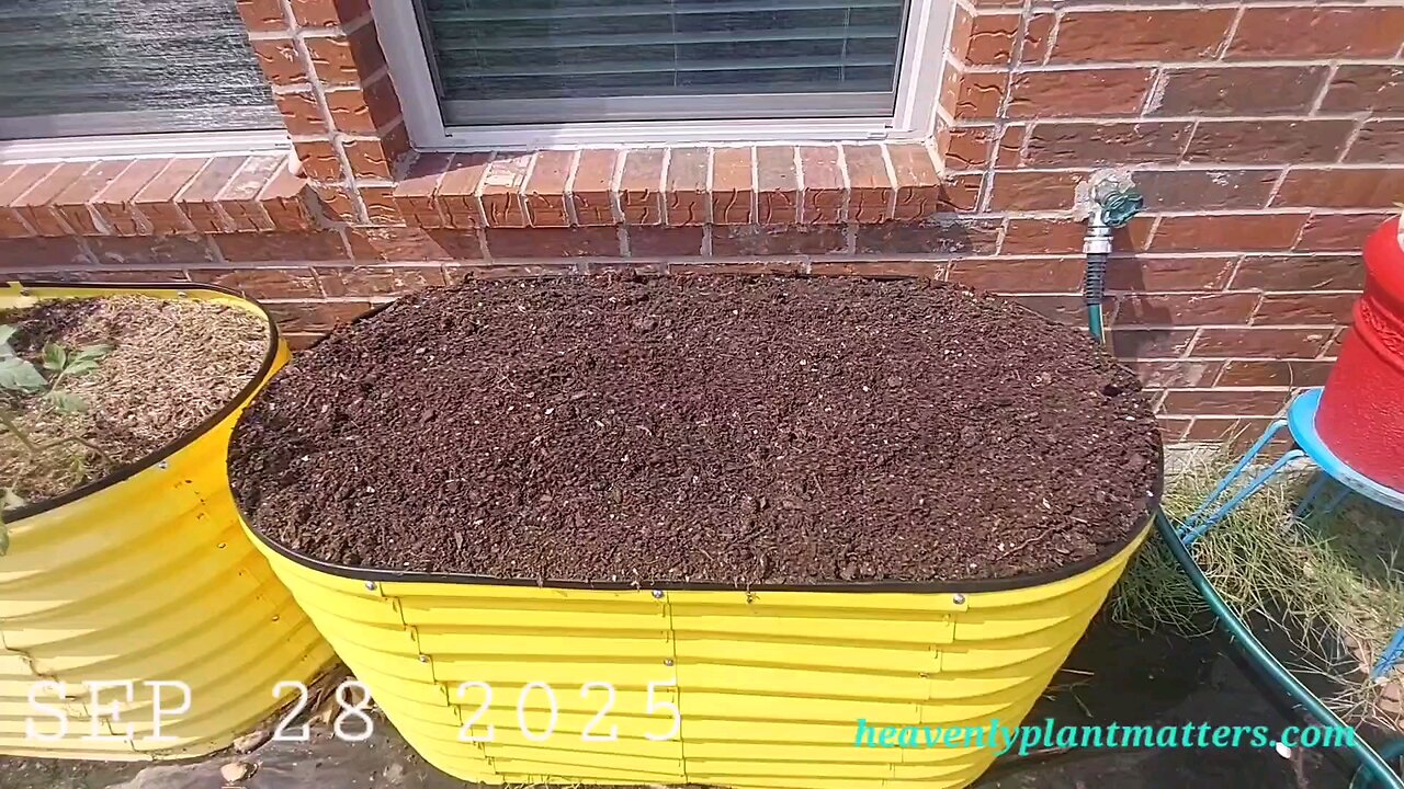 52 Sundays! Fall Cleanup AND Growing!