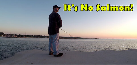 It's No Salmon!