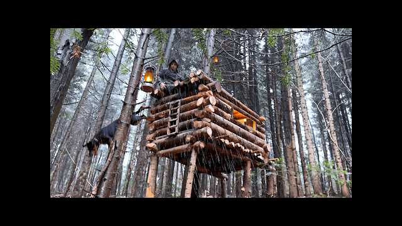 Building a Cozy Wooden Cabin on Stilts: Bushcraft Shelter Adventure
