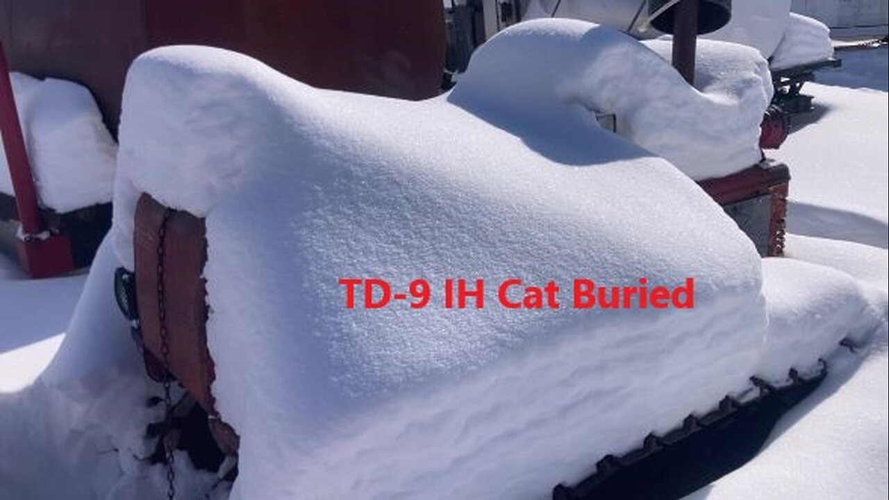 Shoveling Snow to Find the King's Cats Mar 18 2025