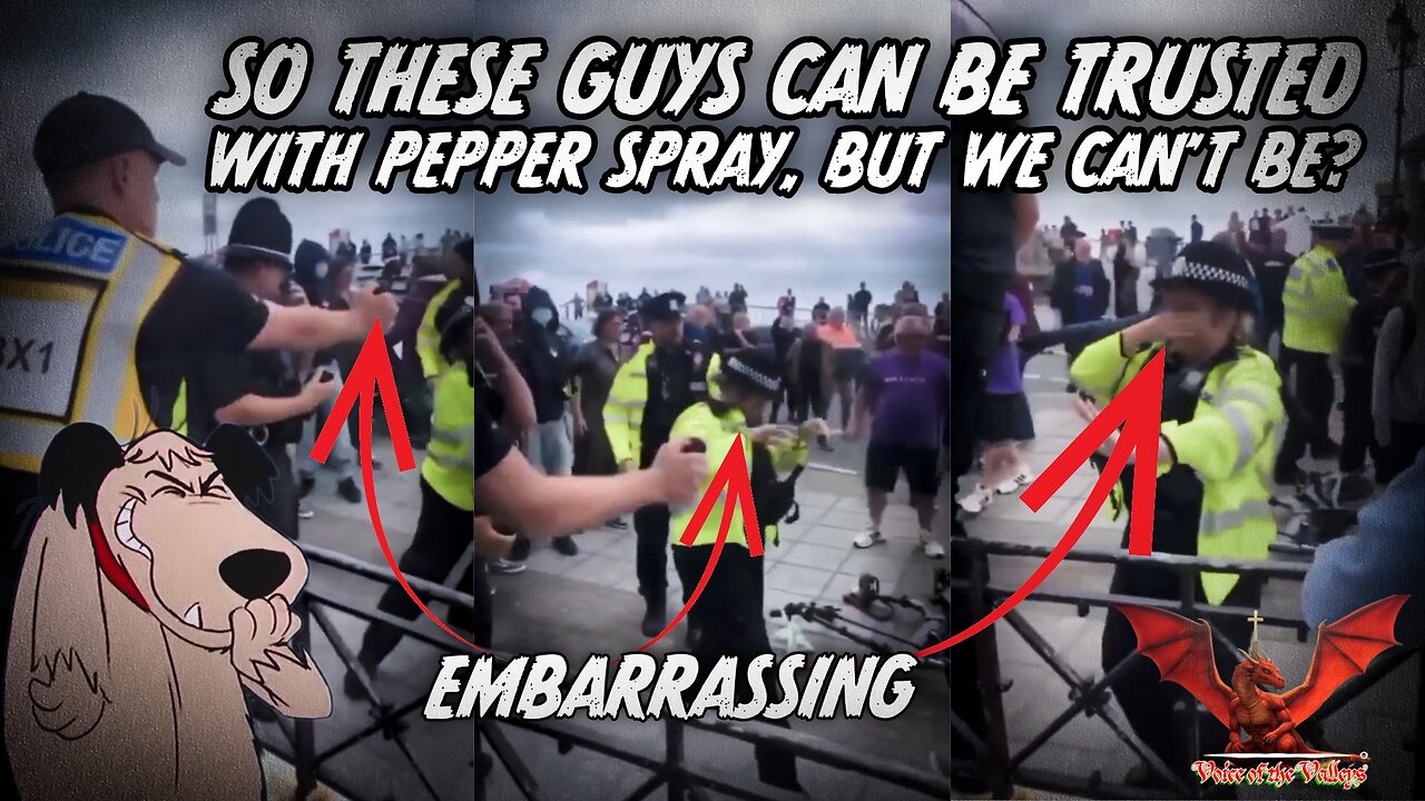 These Guys Can be Trusted With Pepper Spray But We Can't Be? | VOTV #49