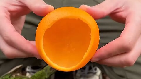 Bushcraft skills #bushcraft #survival #camping #outdoors #forest #shorts