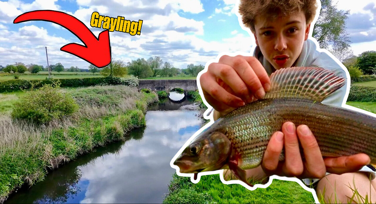 I Went Chub Fishing And Caught Something Unexpected!