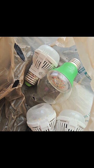 A total of 7 sansi lightbulbs snuck in my home