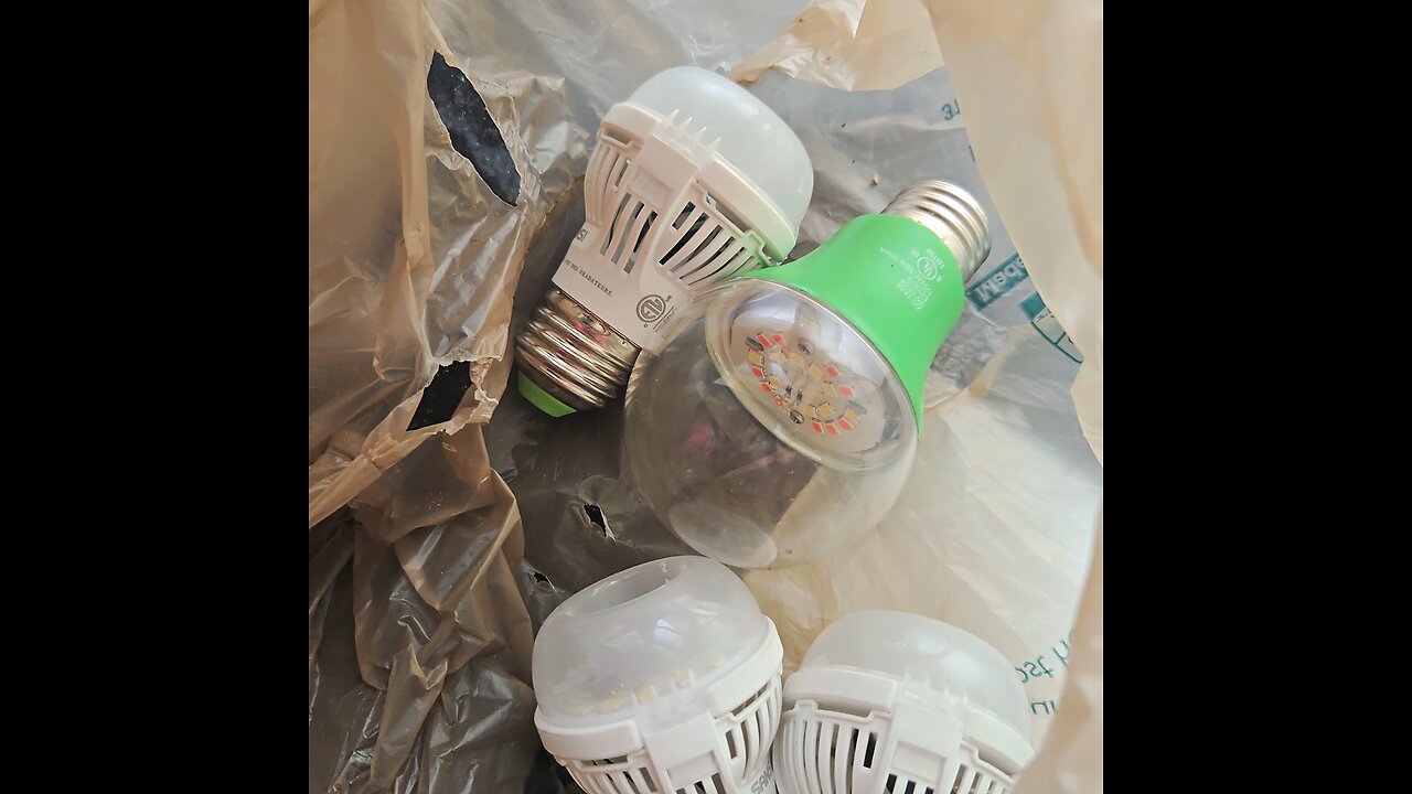 A total of 7 sansi lightbulbs snuck in my home