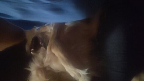 Gordon being VICIOUS