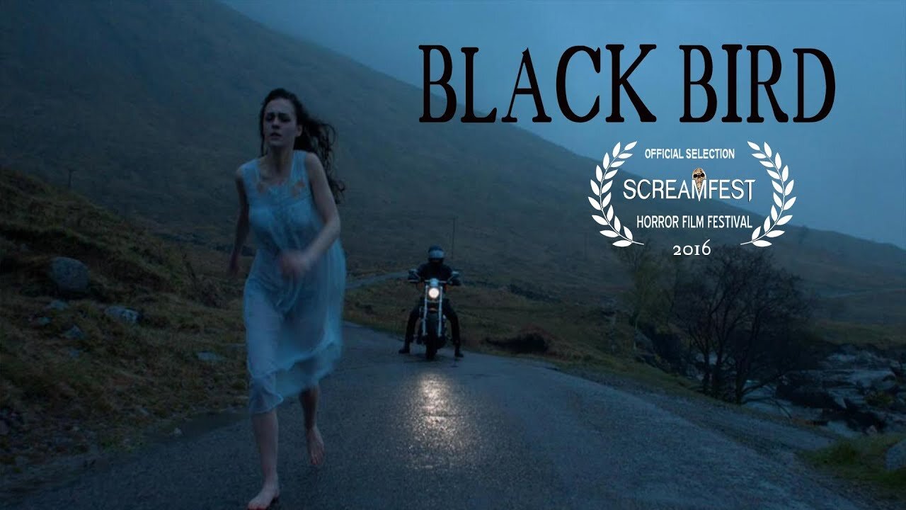 Black bird