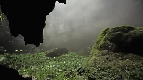 Reptilian Humanoids Discovered In Vietnam Cave