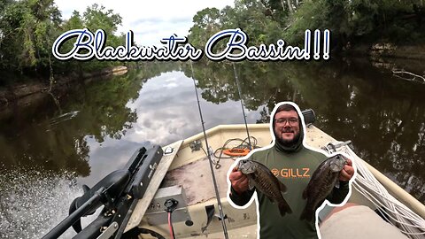 Blackwater Bassin!!! HUGE SUWANNEE BASS AND A DINOSAUR!!!!!