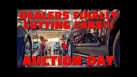 Dealers are FINALLY CUTTING Cars at Auction! AUCTION DAY!