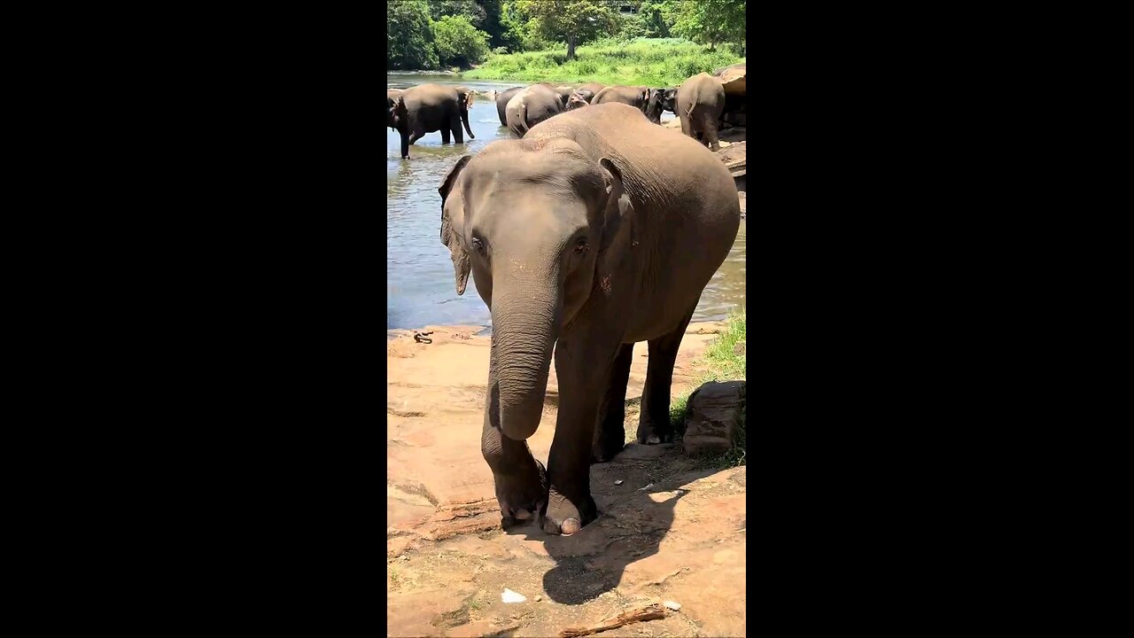 Welcome to Sri Lanka 🇱🇰