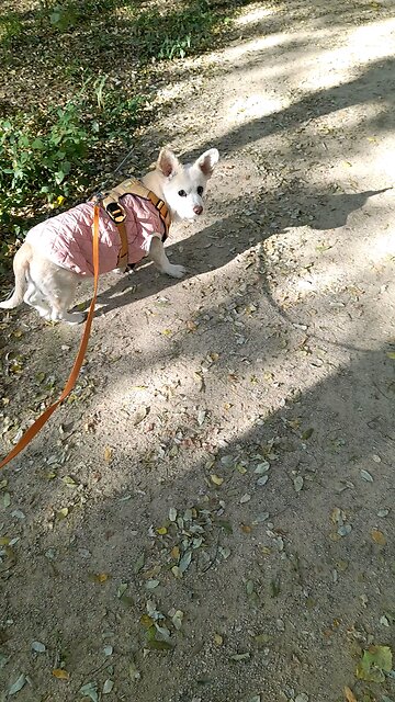 20251119. Remember Your God.