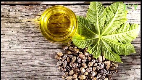 USE CASTOR OIL BEFORE BED AND SEE WHAT HAPPENS TO YOUR BODY 💥