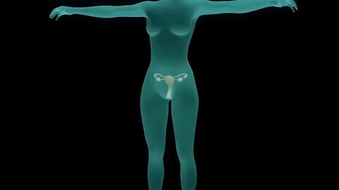 Pregnancy - How a Wonder is Born! (Animation)