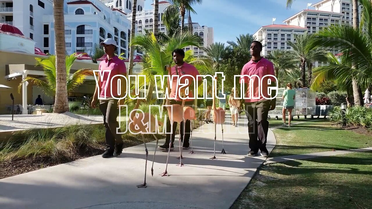 You want me