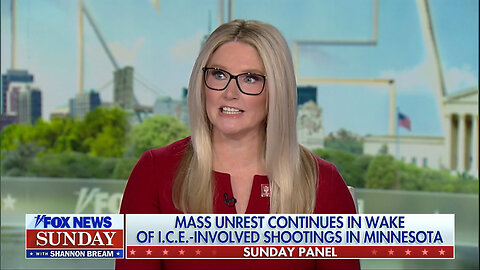 Lib Blowhard Marie Harf Sent The Fox News Sunday Panel Segment On ICE Operations In MN Off The Rails