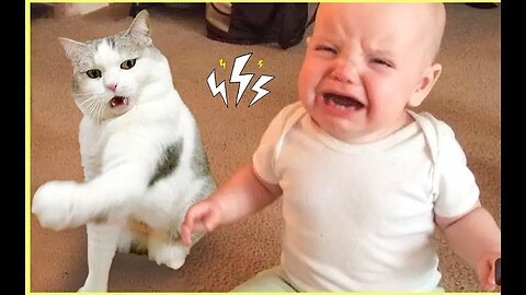 "Baby Takes on Cat… and Loses Every Time!"