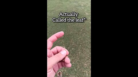 Mowing Recommendations