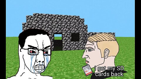 I got my SD cards back