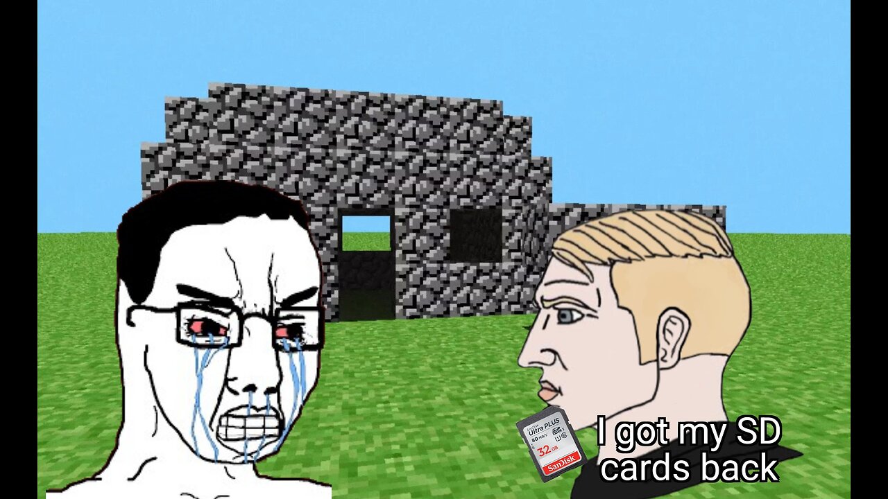 I got my SD cards back