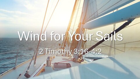 Wind for Your Sails