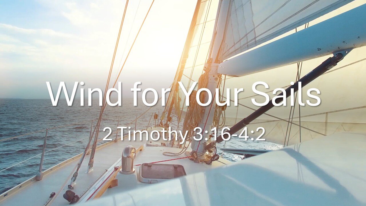 Wind for Your Sails