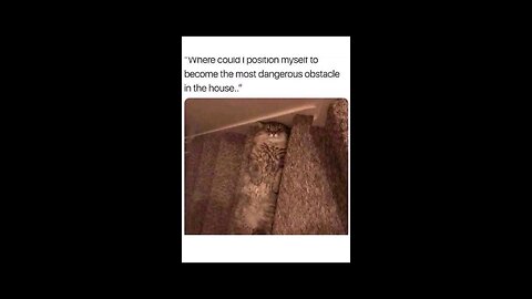 “When Life Gives You Funny Mood | Ultimate Meme Shorts” #FunnyMemes #MemeShorts #ViralVideo