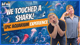 Bubble Trouble! A Fun Review of the Pacific's Wackiest Aquarium
