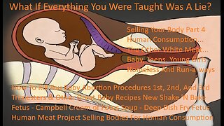 How To Kill Your Baby Abortion Procedures 1st, 2nd, And 3rd Trimesters & Other Great Baby Recipes