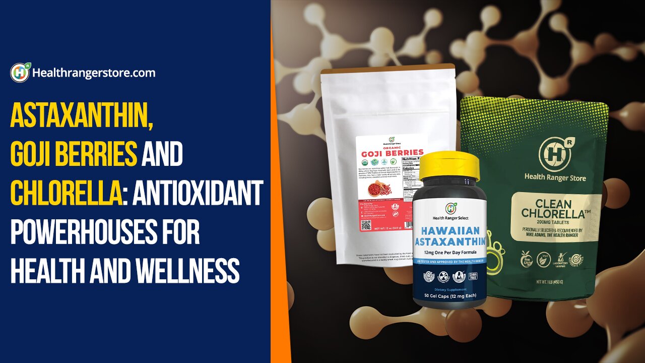 Astaxanthin, Goji Berries and Chlorella: Antioxidant powerhouses for health and wellness