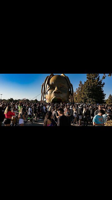 Dr. Lee Merritt- Remember that TRAVIS SCOTT concert where those people DROPPED?