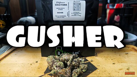 GUSHER from California Gold Farm