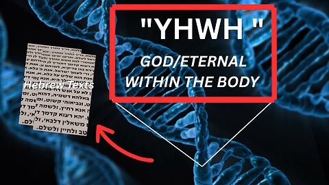 You Are God in the Flesh: The Hidden Code in Your DNA They Don’t Want You to Know.