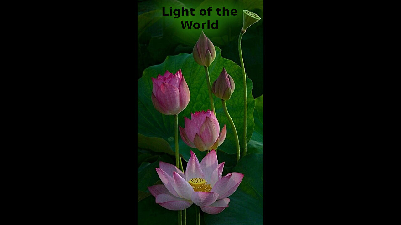 Jada 💕 442 ~ Light of the World