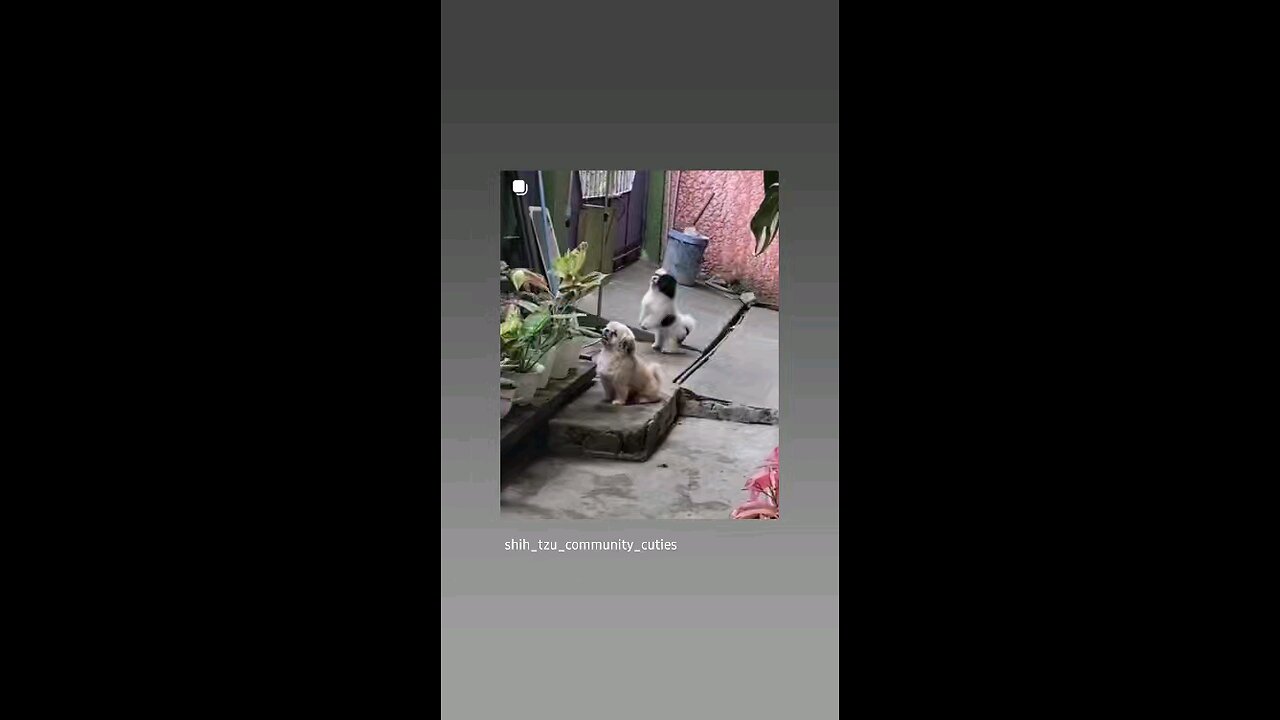 लडाई हो गई कैसे देखु