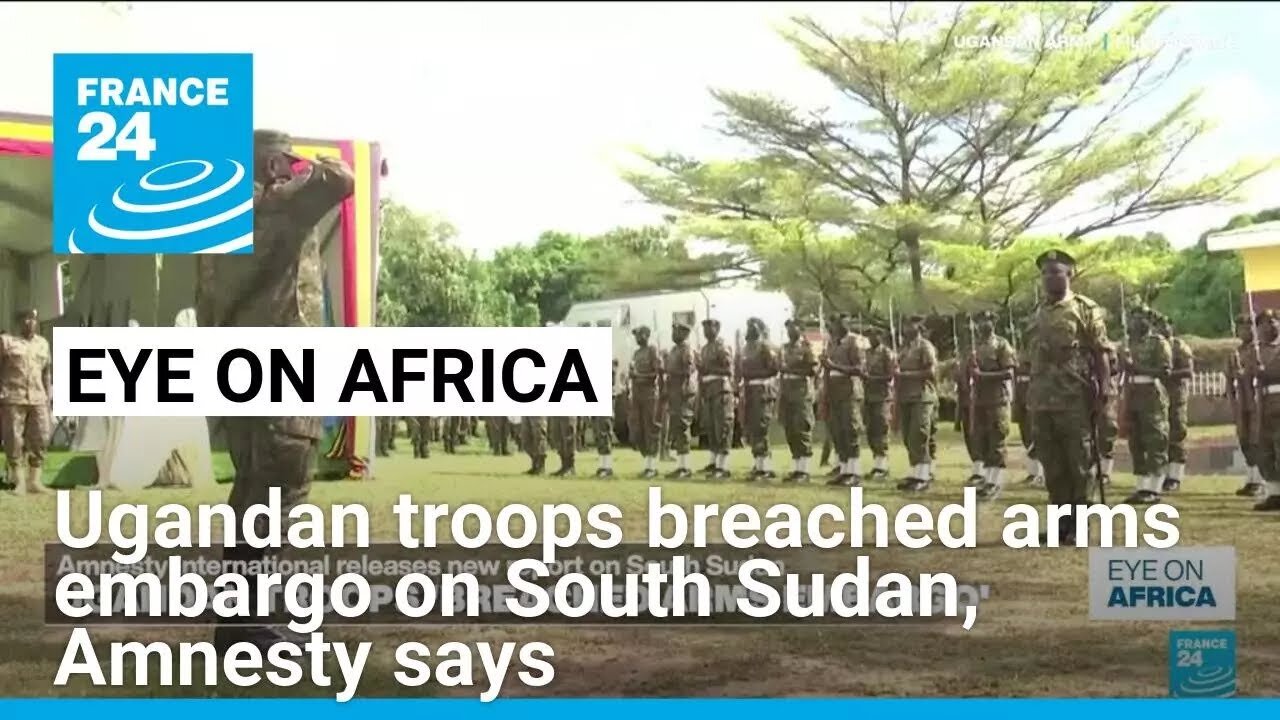 Ugandan troops breached arms embargo on South Sudan, Amnesty says