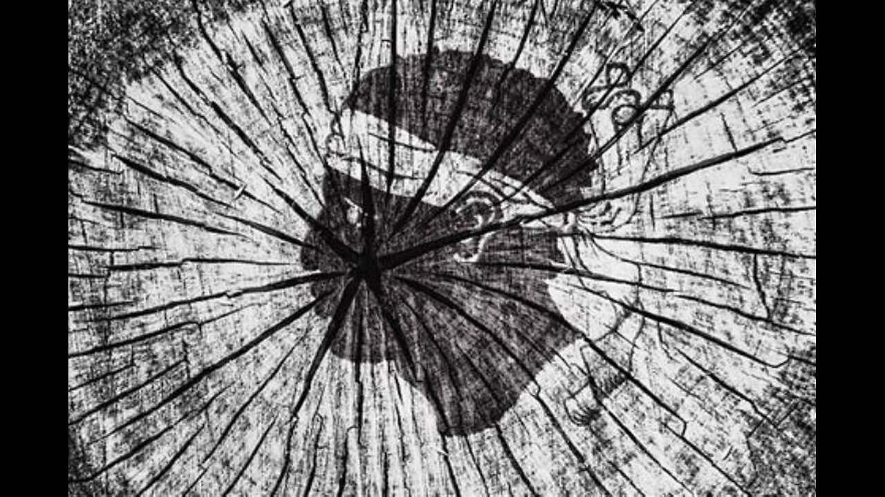 Une leçon de “français” donnée à un “étranger”...