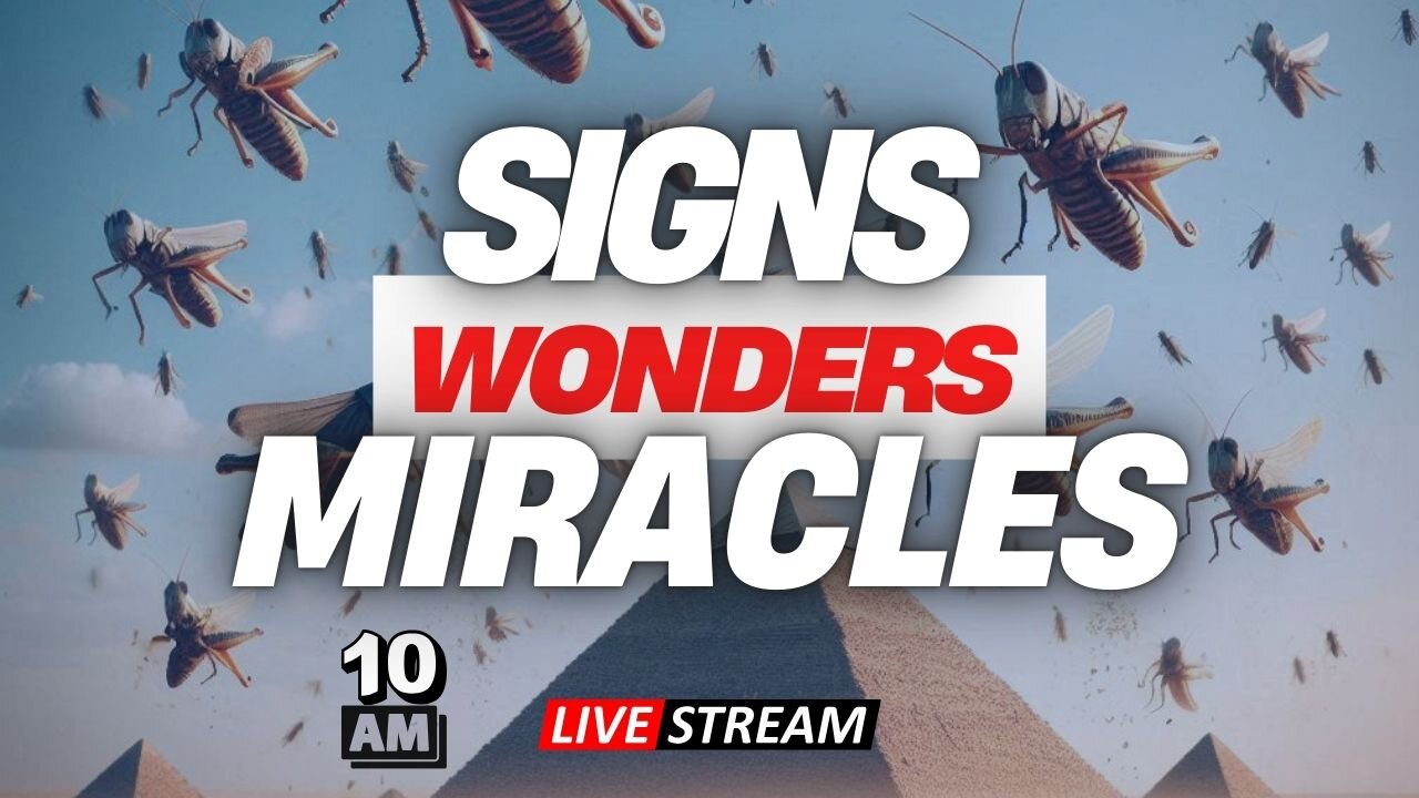 Miracles Then and Now – WAKE THE BRIDE