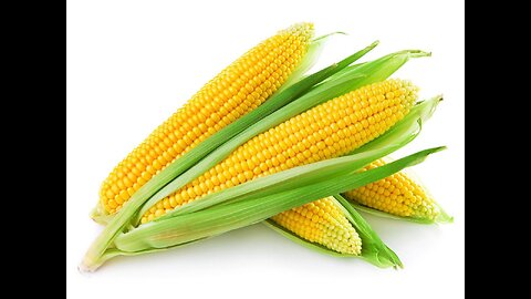 Insights Approach To Corn And All Other Markets