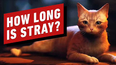 How Long Is Stray_
