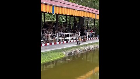 Monkey show Tailand