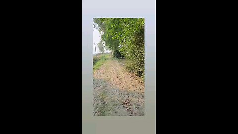 जल्दी जल्दी नाही चला जा बा