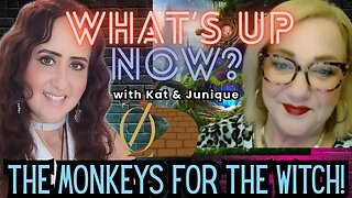 What's Up Now! With Kat & Junique! Topic: The Monkey's For the Witch! AKA Policy Enforcers