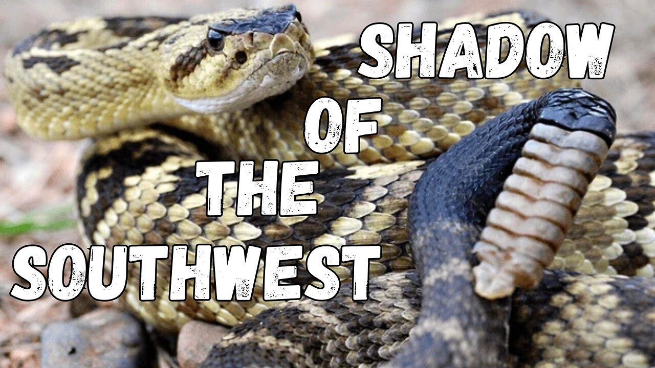 Crotalus molossus: The Shadow of the Southwest